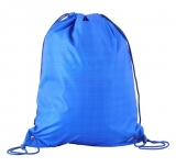 LEGO Gymtas Bricks BLAUW